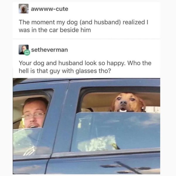 seth everman hot - awwwwcute The moment my dog and husband realized was in the car beside him setheverman Your dog and husband look so happy. Who the hell is that guy with glasses tho?