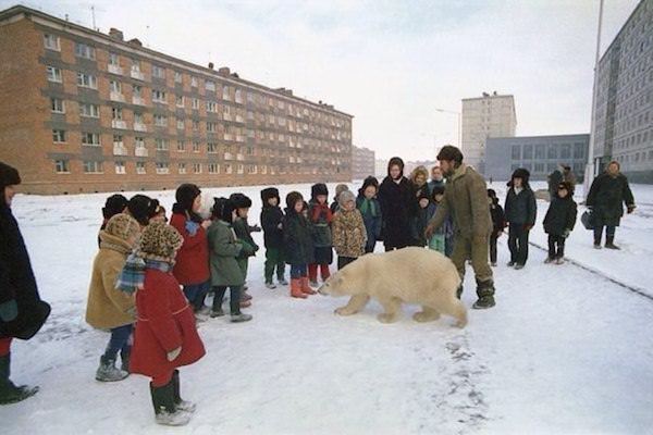 norilsk school