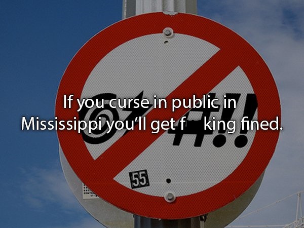 city of virginia beach: convention & visitors bureau - If you curse in public in Mississippi you'll get f king fined. 55.