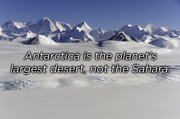 mountains in antarctica - Antarctica is the planet's largest desert, not the Sahara.