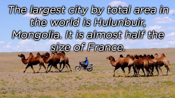 grassland - The largest city by total area in the world is Hulunbuir, Mongolia. It is almost half the size of France.