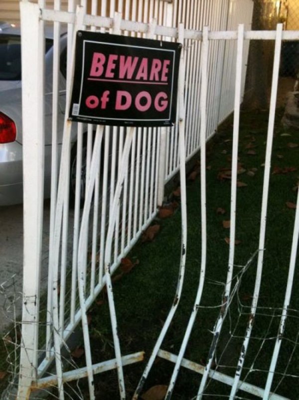 funny beware of dog sign - Beware of Dog