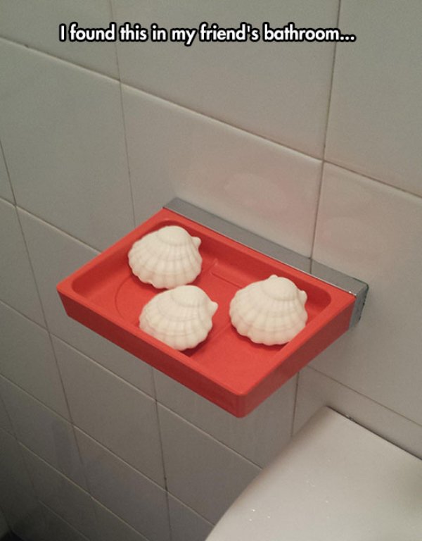 Seashell - I found this in my friend's bathroom...