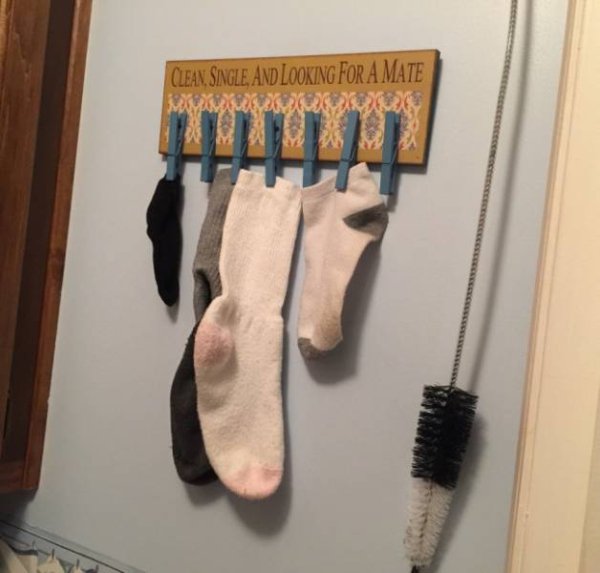 single socks - Clean Single And Looking For A Mate Mo