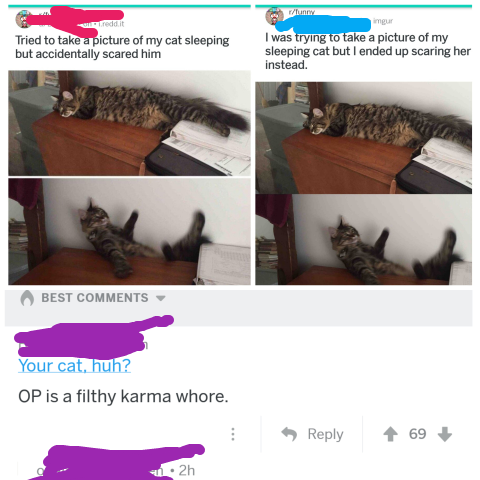 jg wentworth memes - Tried to take a picture of my cat sleeping but accidentally scared him I was trying to take a picture of my sleeping cat but I ended up scaring her instead. Best Your cat, huh? Op is a filthy karma whore. 69 2n