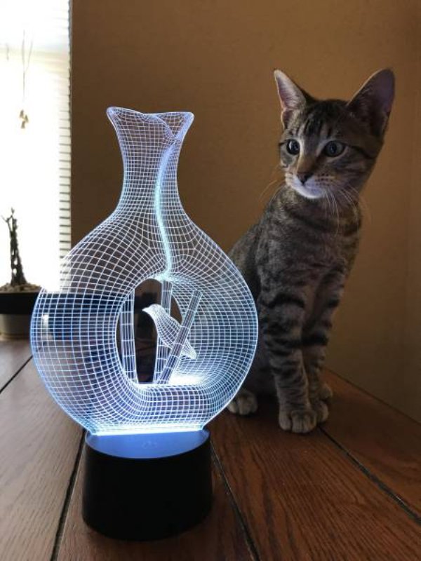 cool product trippy needs lamp
