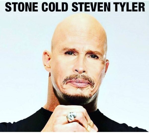 funny steven tyler - Stone Cold Steven Tyler