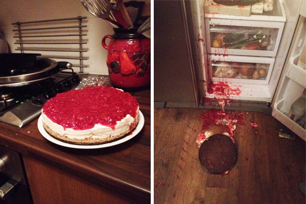 dropped the cheesecake -