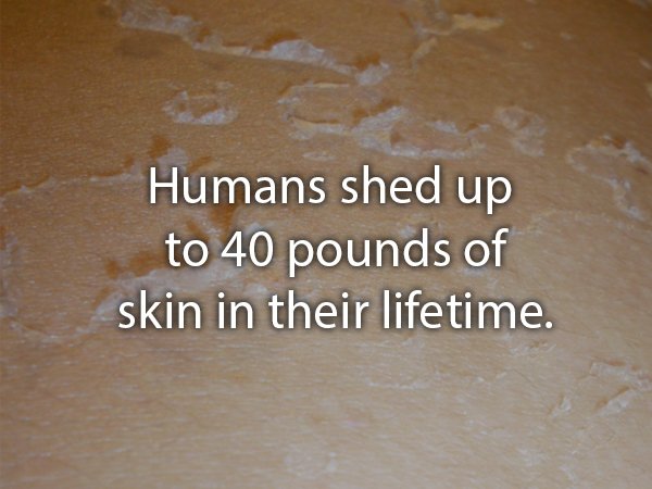 20 Disgusting Facts You'll Wish You Hadn't Read