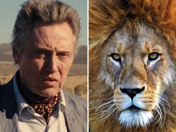 Before Christopher Walken was an actor, he was a lion tamer. He was with a traveling circus, and performed with a lioness named Sheba.