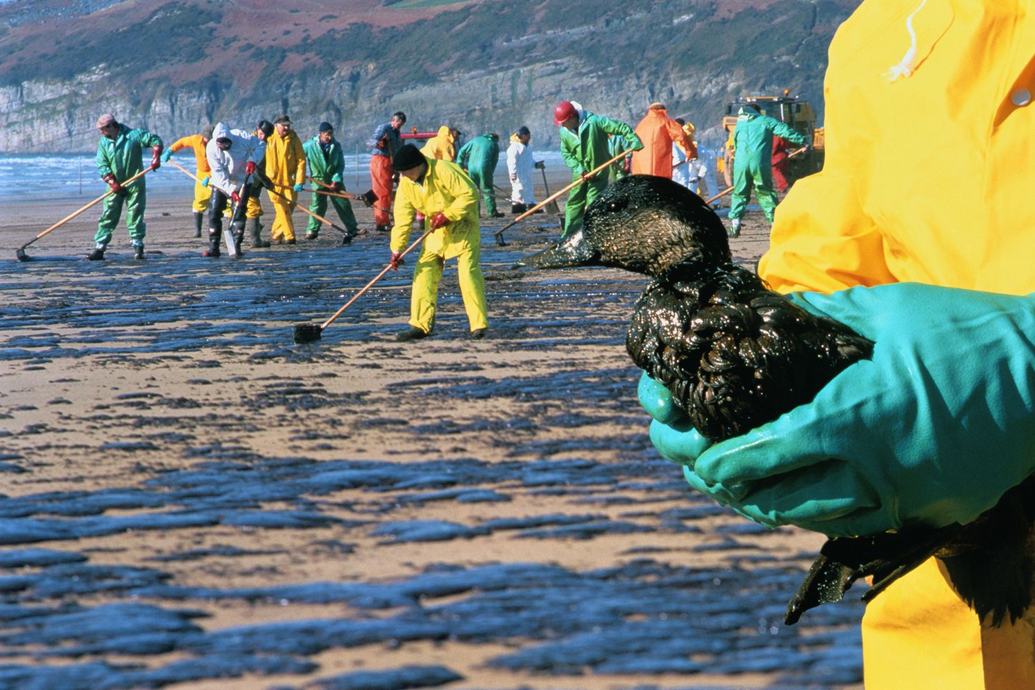 Cleaning up animals after an oil spill is feel good propaganda to make the public think they are helping. 90% of those animals will be dead within a few days or weeks. They've ingested enough of the oil that they are moving corpses, they (and you mr. nice person with a bottle of Dawn dish soap)just don't know it yet.

Real oil spill work is done by trained professional crews, not volunteers. If you ever tried to help, you were given busy work to keep you out of the way.