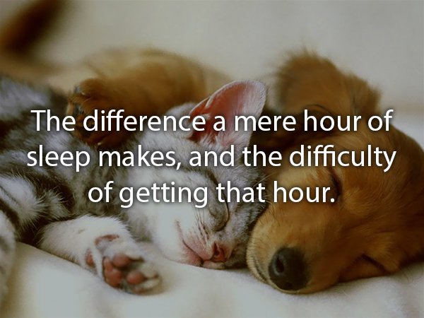you deserve a rest - Theep make ting th The difference a mere hour of sleep makes, and the difficulty of getting that hour.
