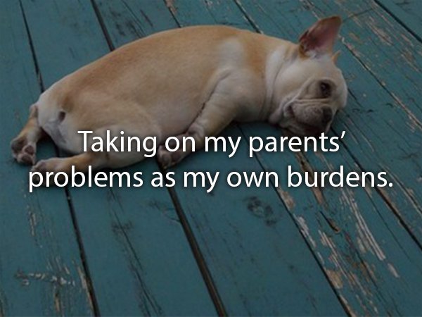 tired animal - Taking on my parents' problems as my own burdens.