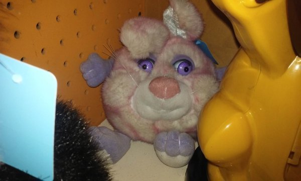 weird thrift store finds stuffed animal