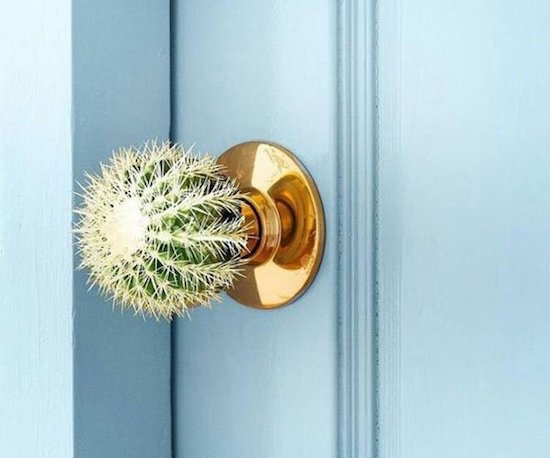 cactus door knob therapist