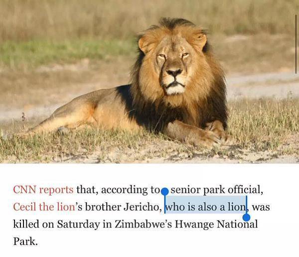 his brother who is also a lion - Cnn reports that, according too senior park official, Cecil the lion's brother Jericho, who is also a lion, was killed on Saturday in Zimbabwe's Hwange National Park.