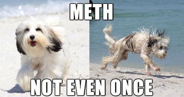 30 memes of meth, not even once