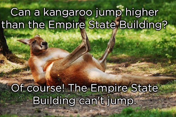 kangaroo aboriginal style - Can a kangaroo jump higher than the Empire State Building? Of course! The Empire State Building can't jump.