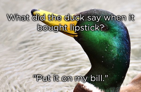 gold jokes - What did the duck say when it bought lipstick? "Put it on my bill."