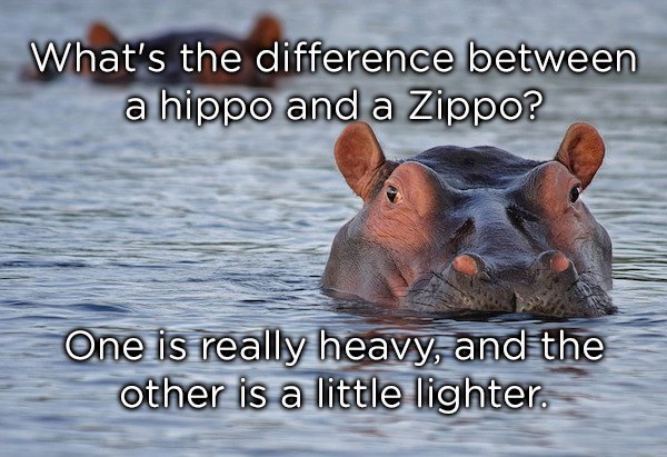 hippo water - What's the difference between a hippo and a Zippo? One is really heavy, and the other is a little lighter.