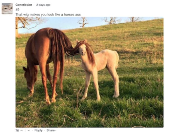 she meme - Genericdan 2 days ago That wig makes you look a horses ass 76