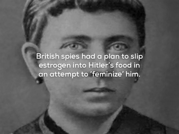 klara hitler - British spies had a plan to slip estrogen into Hitler's food in an attempt to 'feminize' him.