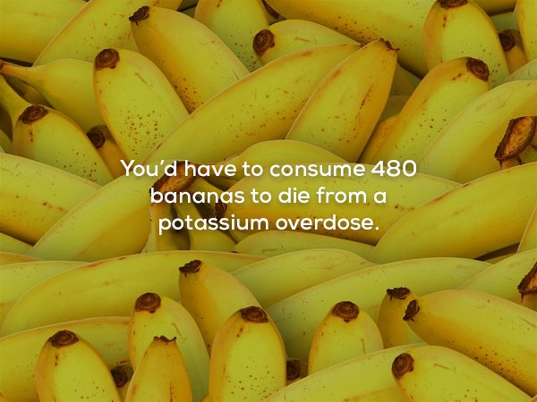 banana market - You'd have to consume 480 bananas to die from a potassium overdose.