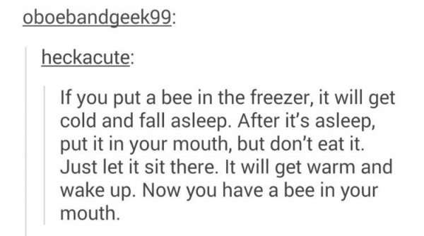 handwriting - oboebandgeek99 heckacute If you put a bee in the freezer, it will get cold and fall asleep. After it's asleep, put it in your mouth, but don't eat it. Just let it sit there. It will get warm and wake up. Now you have a bee in your mouth.