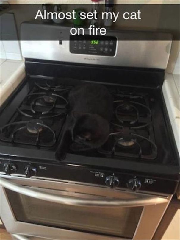almost set my cat on fire - Almost set my cat on fire