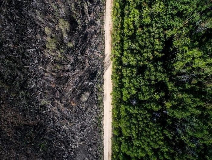 cool pic road that stopped the fire