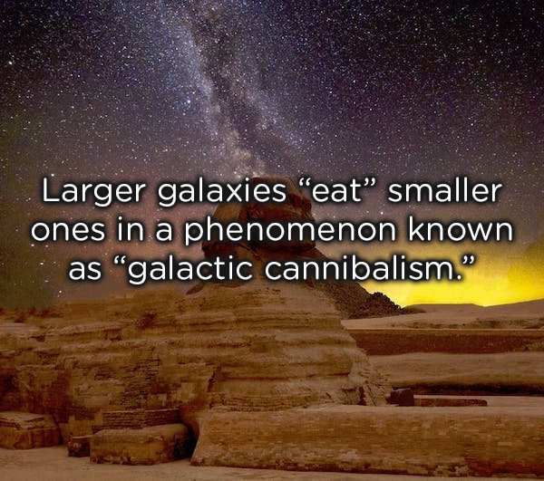 sphinx night - Larger galaxies "eat smaller ones in a phenomenon known . as galactic cannibalism."