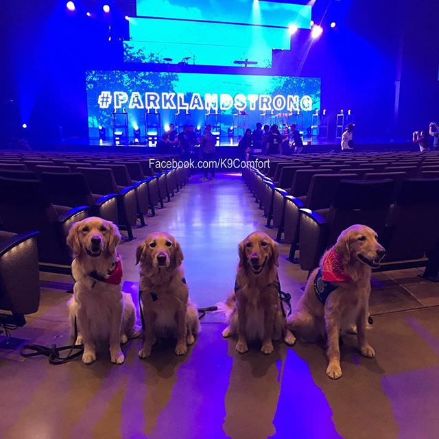 Some of the 19 LCC K-9 Comfort Dogs who are currently in Parkland, Florida to provide support to the community