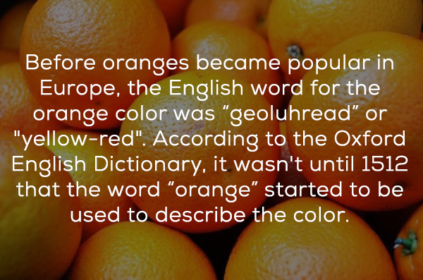 Interesting Facts about Color That Will Open Your Eyes