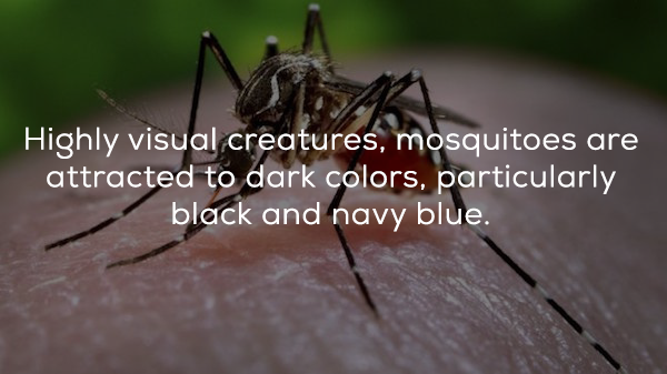 Interesting Facts about Color That Will Open Your Eyes