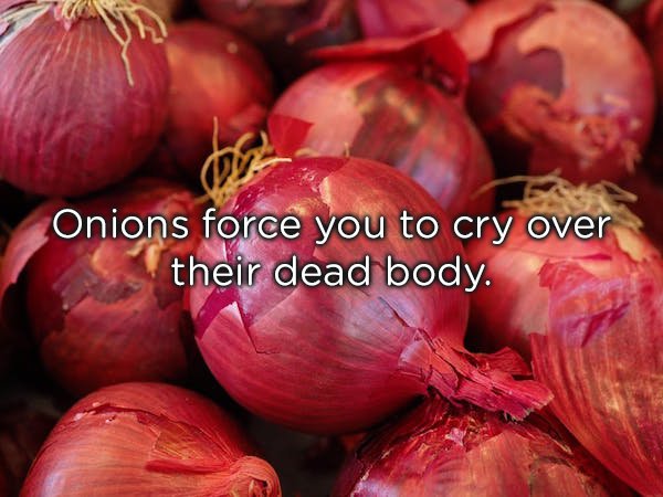 Onions force you to cry over their dead body.