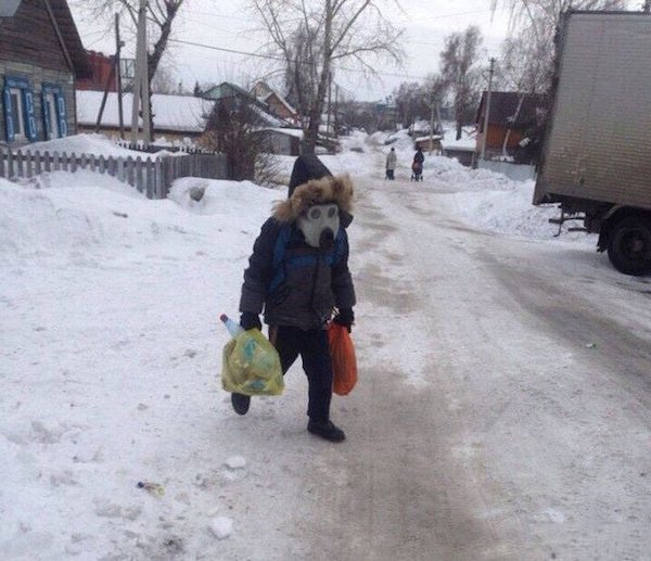 23 wtf pictures from Russia