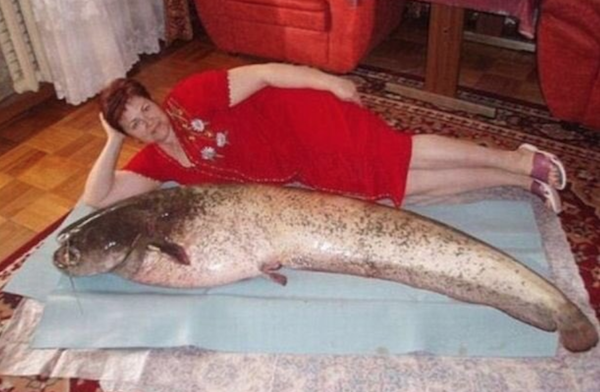 23 wtf pictures from Russia