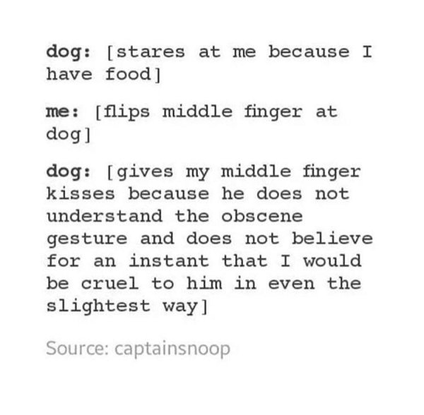 number - dog stares at me because I have food me flips middle finger at dog dog gives my middle finger kisses because he does not understand the obscene gesture and does not believe for an instant that I would be cruel to him in even the slightest way Sou