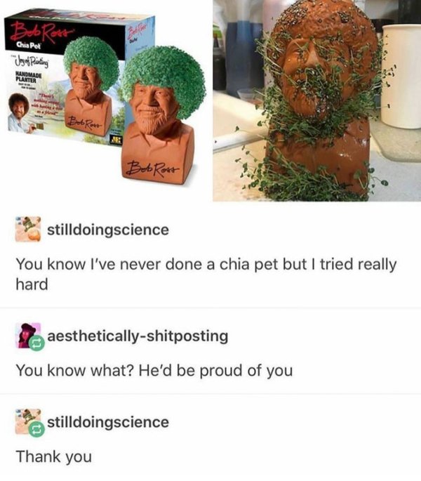 bob ross chia pet meme - havet May Posting Handmade Puakter Bob Ross stilldoingscience You know I've never done a chia pet but I tried really hard aestheticallyshitposting You know what? He'd be proud of you stilldoingscience Thank you