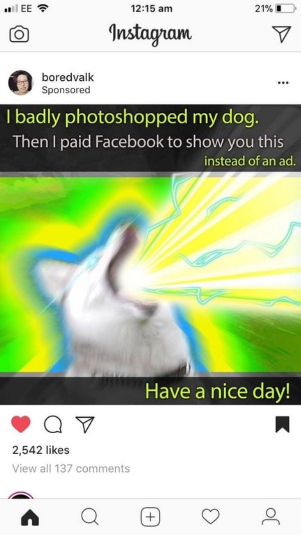 badly photoshopped my dog - ..Ee ? 21% O Instagram boredvalk Sponsored Ibadly photoshopped my dog. Then I paid Facebook to show you this instead of an ad. Have a nice day! ya7 2,542 View all 137