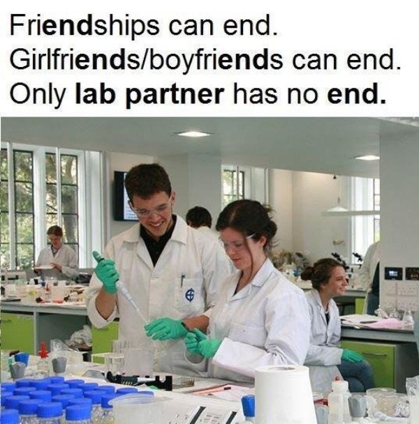 only lab partner has no end - Friendships can end. Girlfriendsboyfriends can end. Only lab partner has no end.