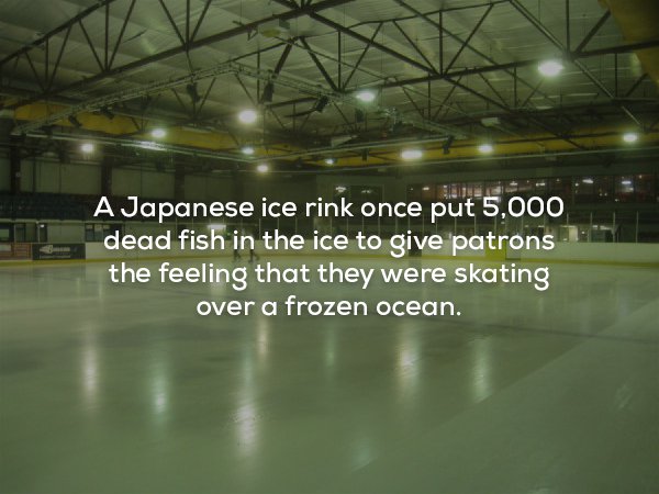 lighting - A Japanese ice rink once put 5,000 dead fish in the ice to give patrons the feeling that they were skating over a frozen ocean.