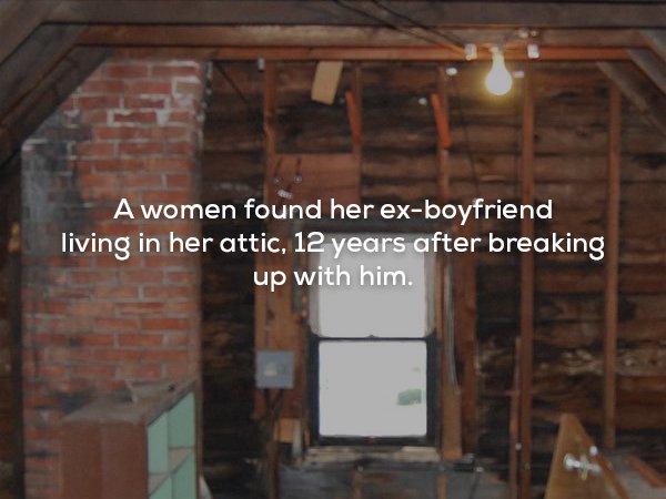 house attic - A women found her exboyfriend living in her attic, 12 years after breaking up with him.