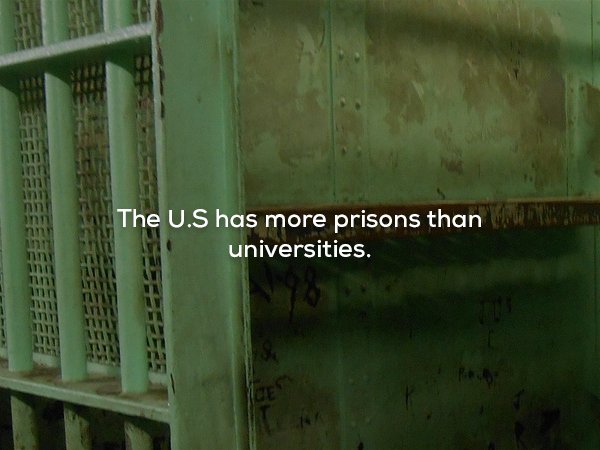 turkey female prison - The U.S has more prisons than universities.