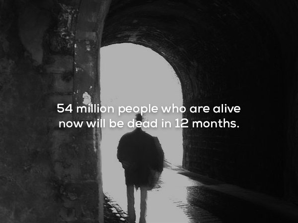 54 million people who are alive now will be dead in 12 months.