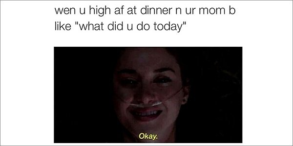 22 Blazing Stoner Memes To Chill Out With 