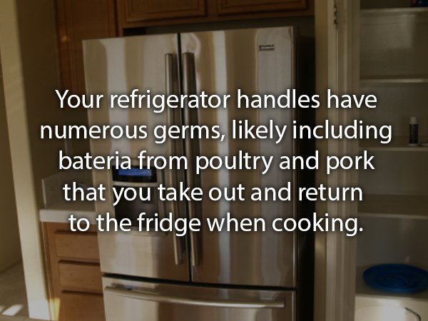 countertop - Your refrigerator handles have numerous germs, ly including bateria from poultry and pork that you take out and return to the fridge when cooking.