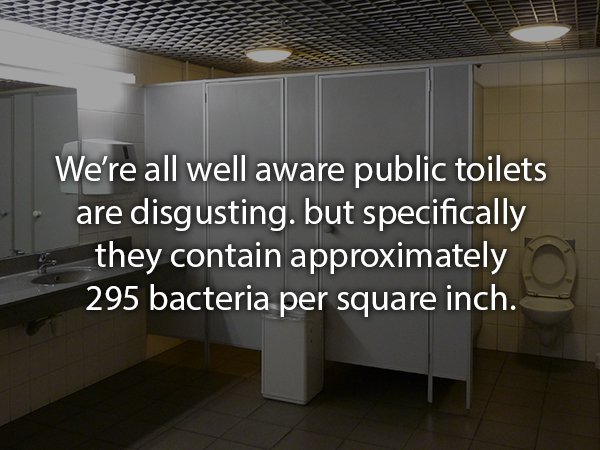 interior design - We're all well aware public toilets are disgusting. but specifically they contain approximately 295 bacteria per square inch.