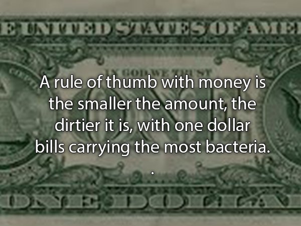 one dollar bill - E Inited Siva Vues Ofame "A rule of thumb with money is the smaller the amount, the dirtier it is, with one dollar bills carrying the most bacteria. One Dotica