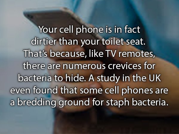 close up - Your cell phone is in fact dirtier than your toilet seat. That's because, Tv remotes, there are numerous crevices for bacteria to hide. A study in the Uk even found that some cell phones are a bredding ground for staph bacteria.